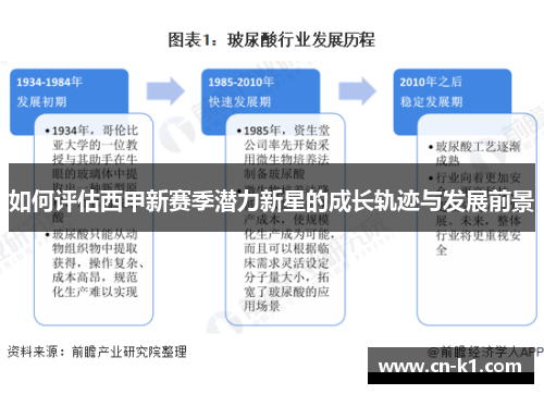 如何评估西甲新赛季潜力新星的成长轨迹与发展前景 如何评估西甲新赛季潜力新星的成长轨迹与发展前景